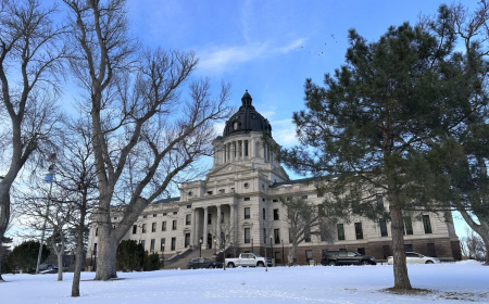 As female representation hits new highs among states, constitutions still assume officials are male