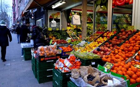 Economic crisis key for Kurdish voters in Germany