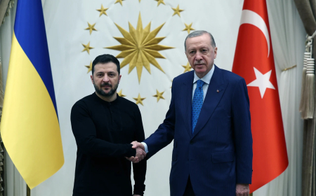 Turkish President Erdogan receives Ukrainian counterpart in Ankara