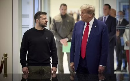 Zelensky surrenders to Trump and 'will sign mineral deal within hours'