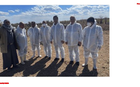 Iraqi agriculture ministry bans live animal transport in response to foot-and-mouth outbreak