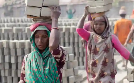 Women's rights under attack amid democratic erosion: UN