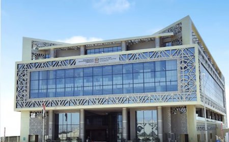 MoHRE to suspend work permits for companies for failing to pay for ‘voluntary savings’