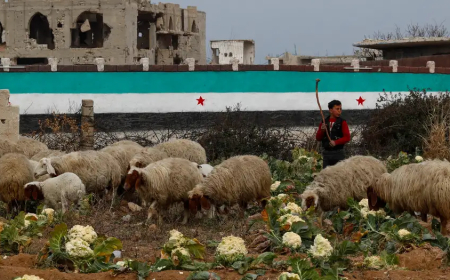 What can be expected of EU's Syria conference?