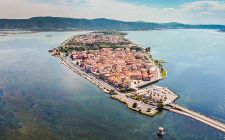 Travel hot spot seeks emergency declaration over massive bug infestation