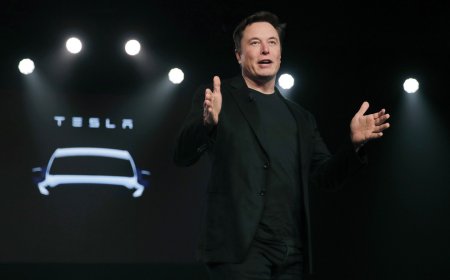 Musk swipes at Navarro amid tariff turmoil: ‘He ain’t built shit’