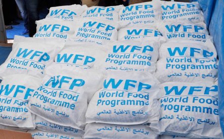 The US ends lifesaving food aid for millions. The World Food Program calls it a 'death sentence'