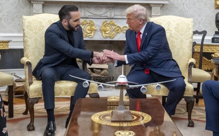 Trump, in a rare move, deferred to another world leader. It’s a clear legal play.