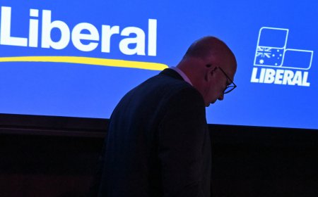 Sweeping policy reset needed to reconnect with voters, senior Liberals say – as others call for lurch further right