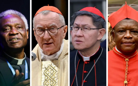 Who will be the next pope? Key candidates in an unpredictable process