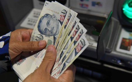 Report: Singapore dollar seen rising further, may reach parity with US dollar
