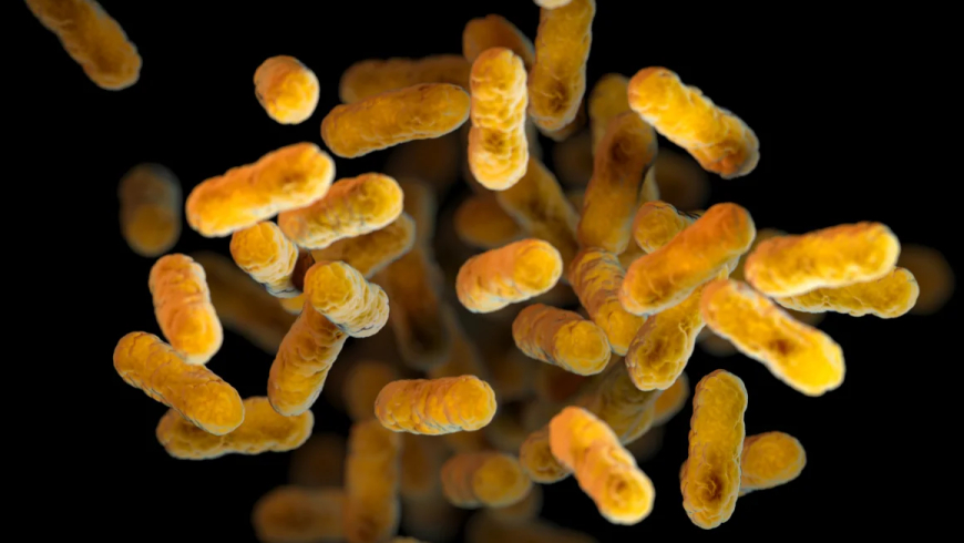 With whooping cough cases on the rise, a doctor explains how to protect yourself and others