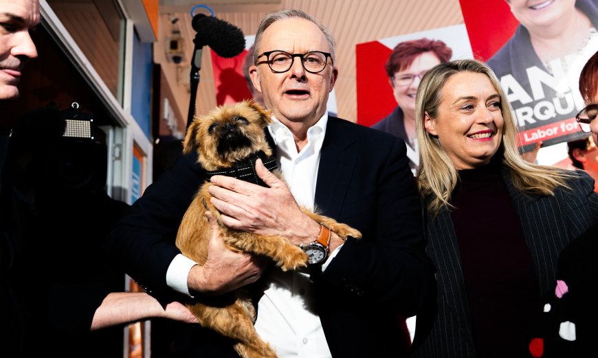 Coalition braces for tough result as Albanese hopes to be first PM to win re-election since Howard