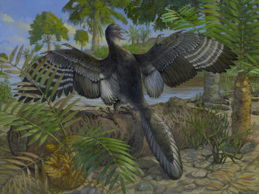 Feathered fossil provides clues about how earliest birds first took flight