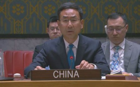 China concerned about integration of foreigners into Syrian armed forces
