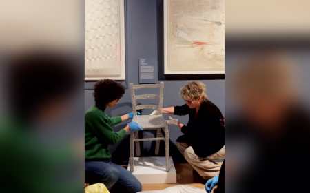 Tourist caught-on-camera smashing crystal-studded ‘Van Gogh’ chair at art museum