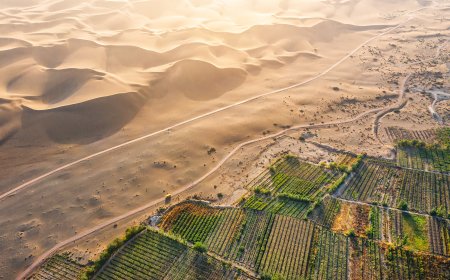 Land restoration unlocks green opportunities