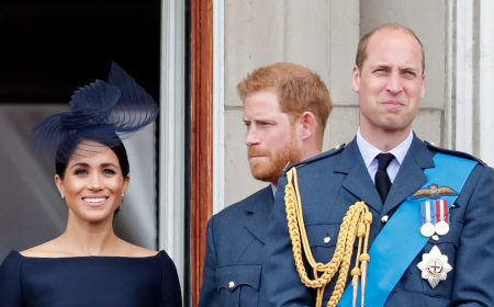 Prince William's royal plan leaves no room for Prince Harry's 'American children': expert