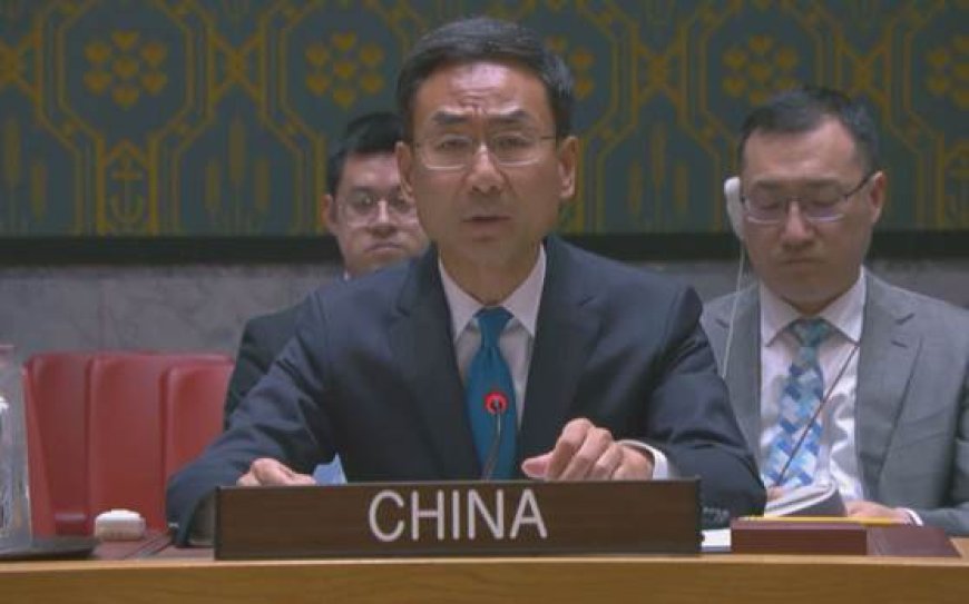 China concerned about integration of foreigners into Syrian armed forces