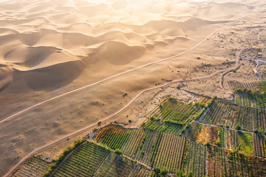 Land restoration unlocks green opportunities