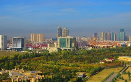 Millions of trees to be planted in Erbil as part of major green belt project