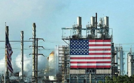 Oil falls on signs of weak US demand