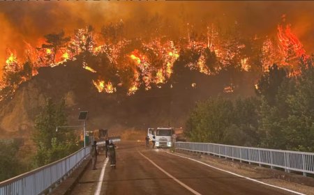 Raging Wildfires Force Mass Evacuations in Turkey’s Bursa as Blazes Threaten Major City
