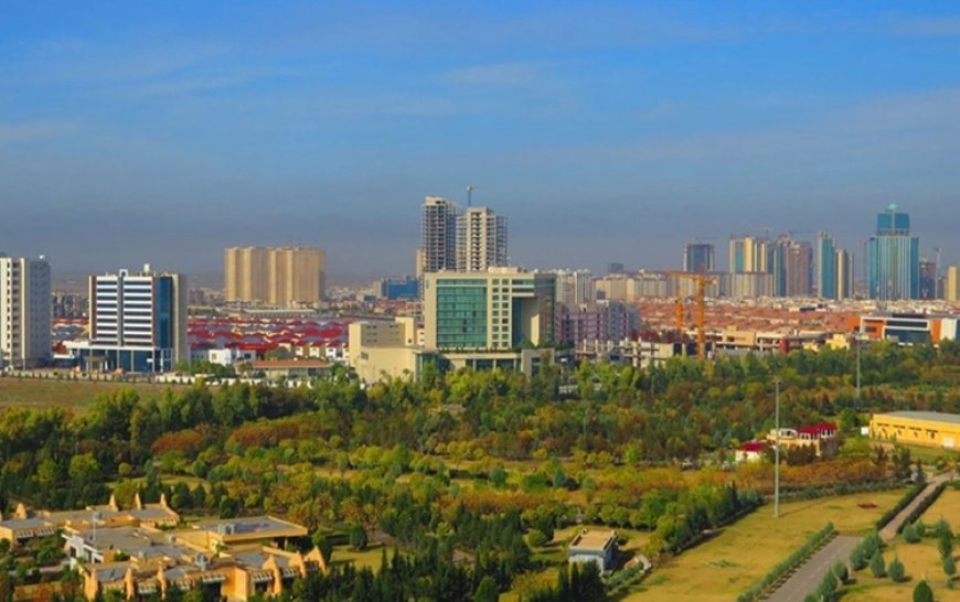Millions of trees to be planted in Erbil as part of major green belt project