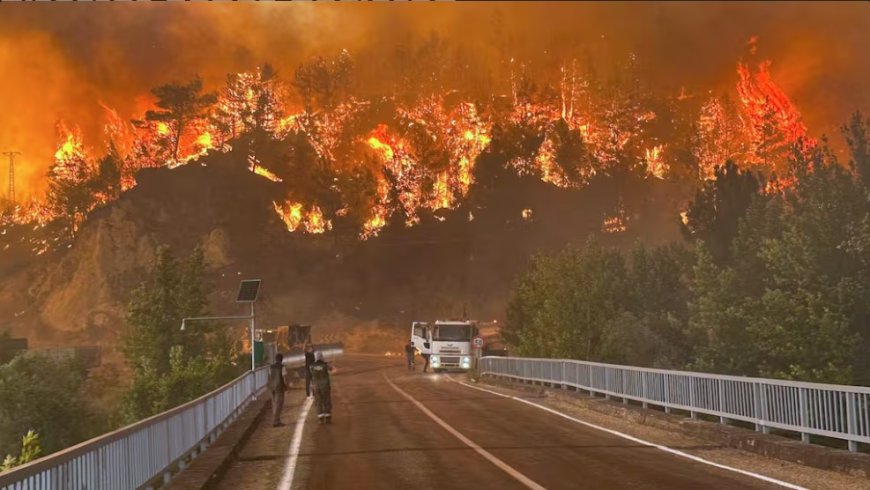 Raging Wildfires Force Mass Evacuations in Turkey’s Bursa as Blazes Threaten Major City