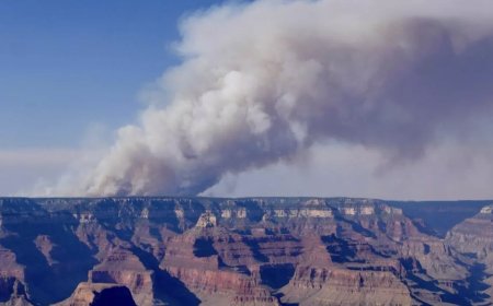 Le Grand Canyon en proie à un incendie hors de contrôle, sa rive nord fermée aux touristes