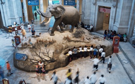 White House orders review of Smithsonian museums and exhibits to ensure alignment with Trump directive
