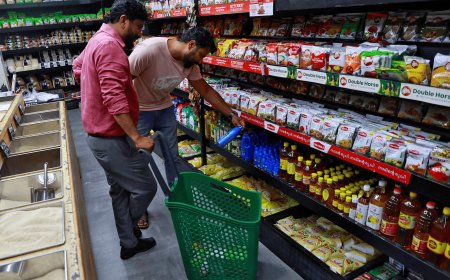 Humble coconut oil turns into a luxury on rising demand, shrinking output