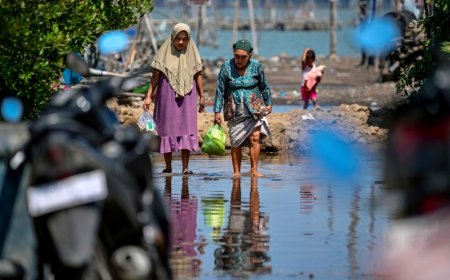 Indonesia’s ambitious seawall plan faces delays as Java villages vanish to rising seas