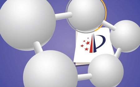 White paper: China's nanotechnology patents top the world