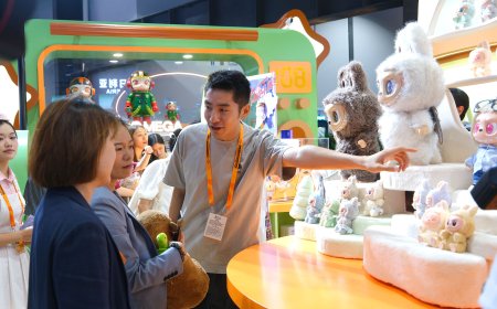 Chinese services trade fair draws global participation, highlights open markets