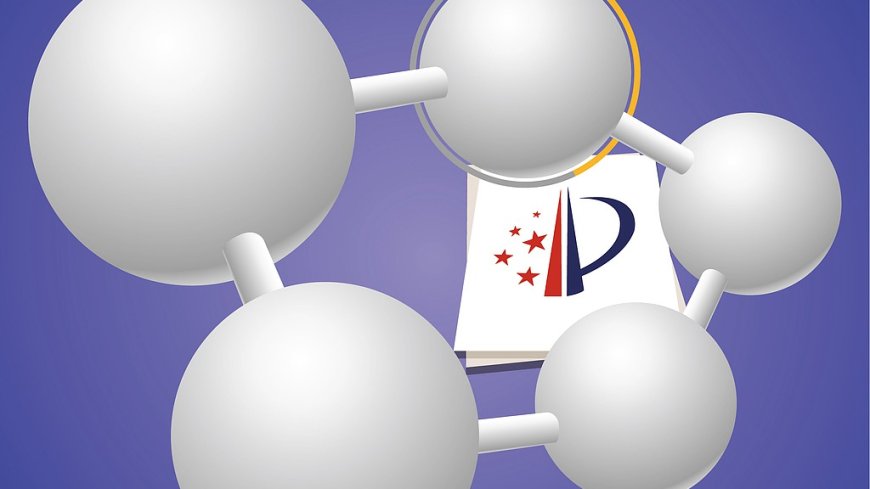 White paper: China's nanotechnology patents top the world