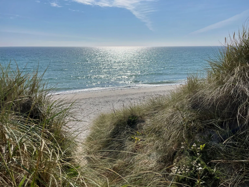 Tresness beach, in Sanday, Orkney was once voted Scotland's best beach - in this sunshine, Clare Chapman could see why.