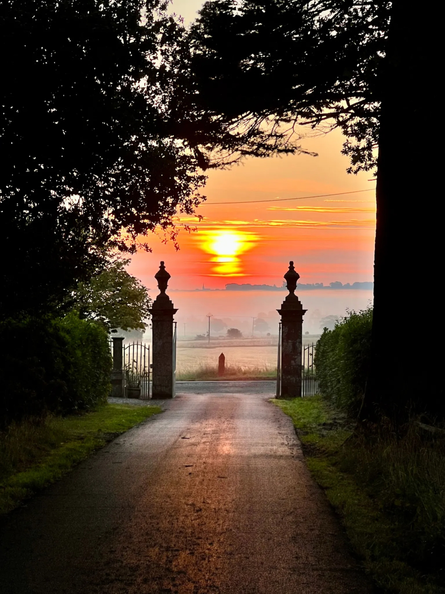 Michelle Hatton's image of a sunrise near Montrose taken through a grand-looking gate feels like a scene from a movie.