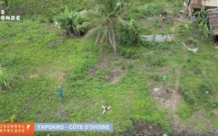 Côte d'Ivoire: l'agriculture en campagne