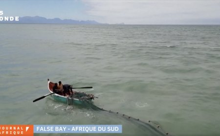 COP30: la pêche artisanale menacée de disparition face au réchauffement des océans