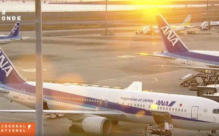 Aéronautique : des milliers de vols annulés