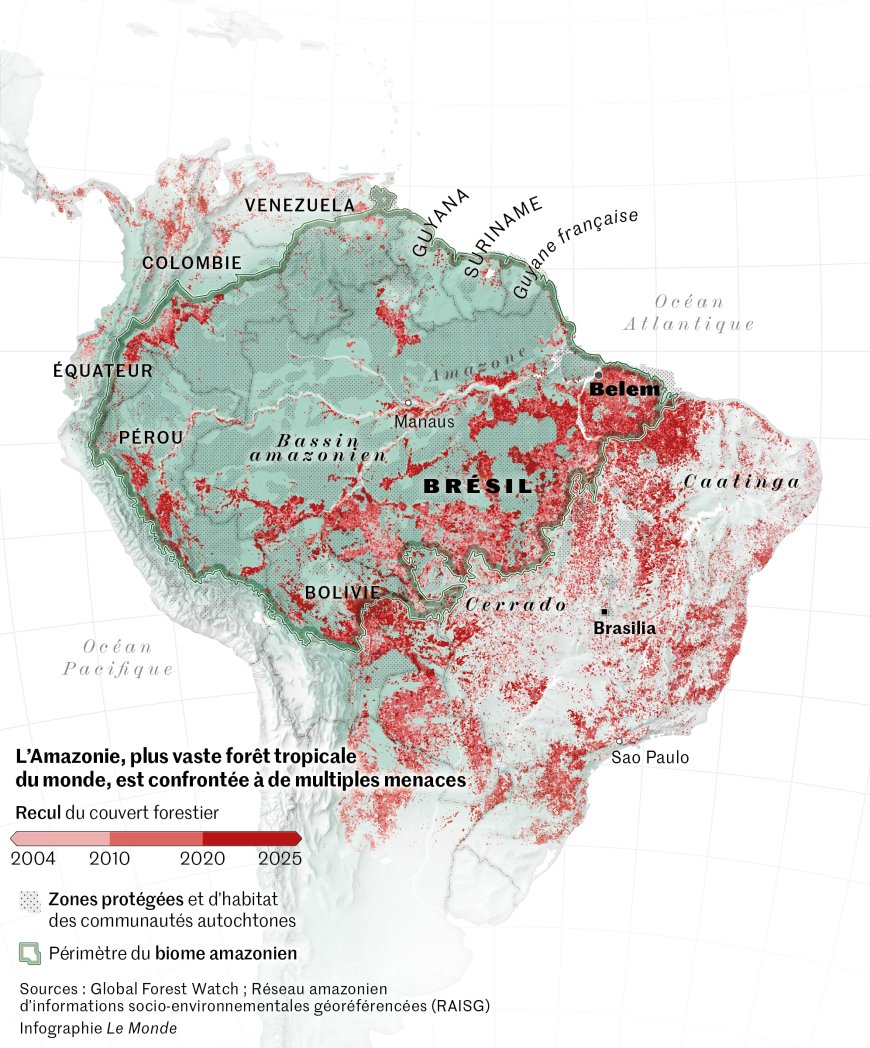 Déforestation, puits de carbone… Quel est l’état de santé de l’Amazonie, la plus vaste forêt tropicale du monde ?