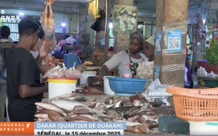Sénégal : la raréfaction de la sardinelle