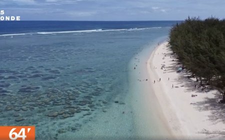 La Réunion: les récifs coraliens surveillés grâce à l'IA