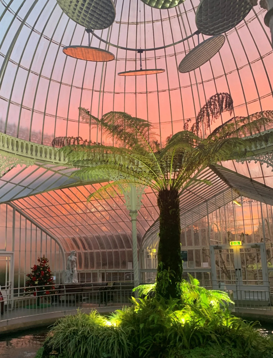 Abi Reed from Peebles took this photo during a visit to Botanic Gardens in Glasgow. "We caught an amazing sunset from inside just before the doors closed giving the whole palace an ethereal feel."