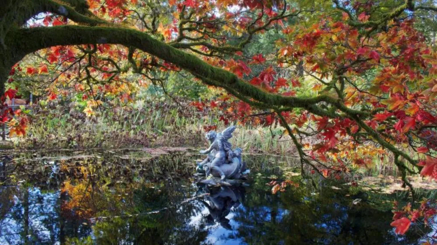 The last of the autumnal colours on show at Benmore Botanic Gardens pictured by Caitlin McGuire.