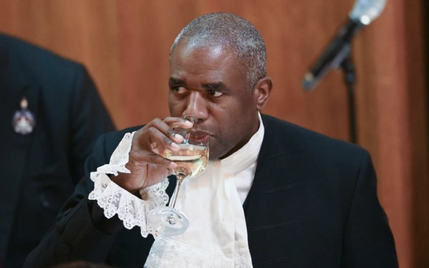 David Lammy claimed almost £7,000 on expenses for tax returns