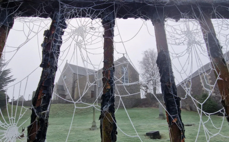 Pictures of Scotland: January 2025