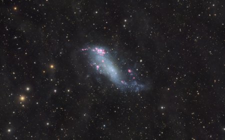 IC 2574: Coddington's Nebula