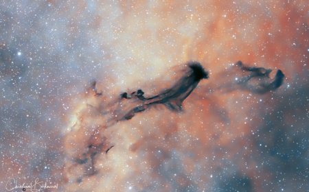 B93 : Un fantôme interstellaire obscur